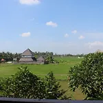 Mm House