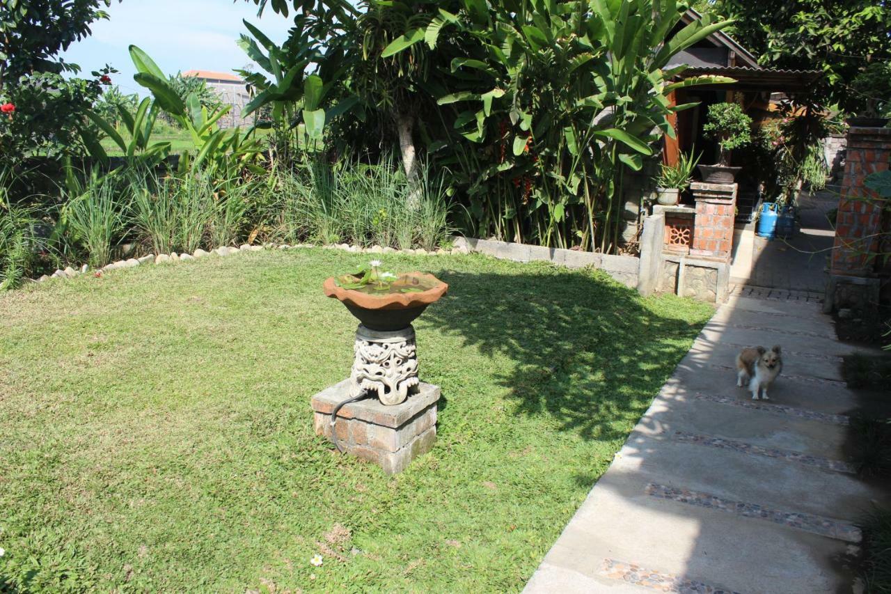 Mm House *