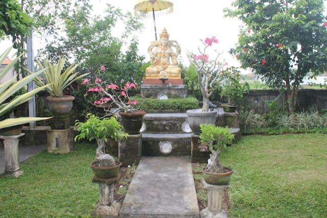 Mm House