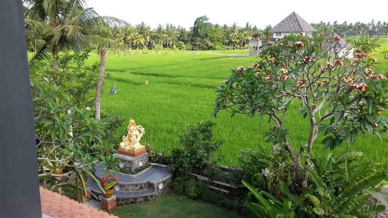 Mm House *